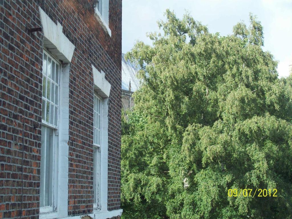 Minster Garth Guest House Beverley Quarto foto